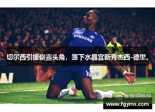切尔西引援崭露头角，签下水晶宫新秀杰西-德里。